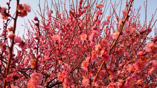 CYMERA_20170309_023425.jpg