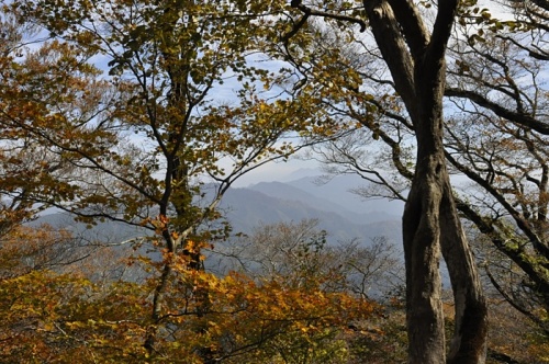 20131105_09.jpg