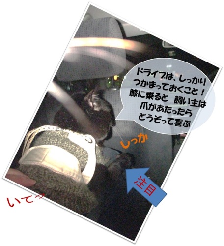 今日のチャンプ8.jpg