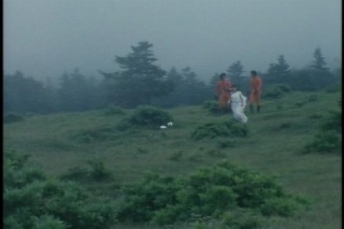 PDVD_018.jpg