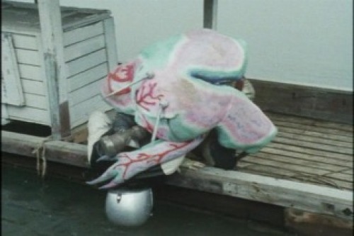 PDVD_018.jpg