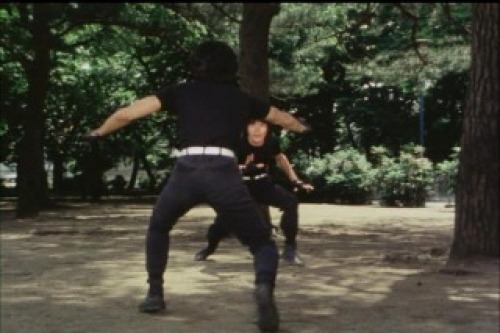 PDVD_039.jpg
