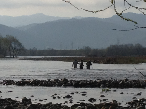 201204160011_6281_iphone.jpg
