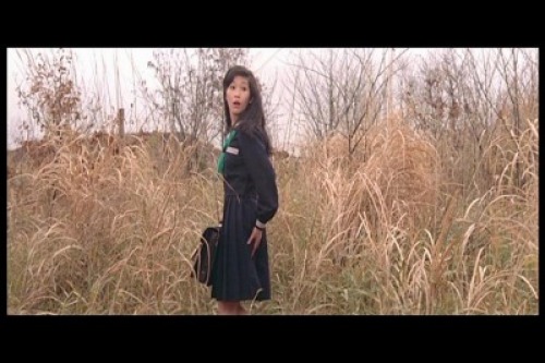 PDVD_026.jpg