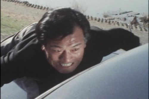 PDVD_019.jpg