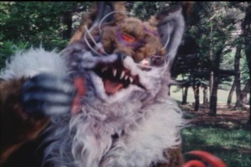 PDVD_009.jpg
