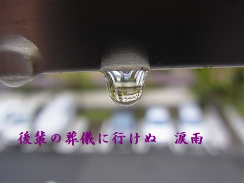 R0011842.JPG
