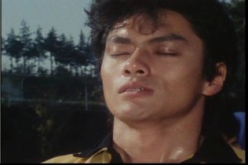 PDVD_023.jpg