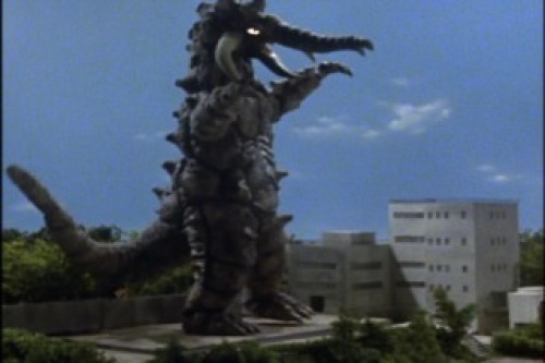 PDVD_022.jpg