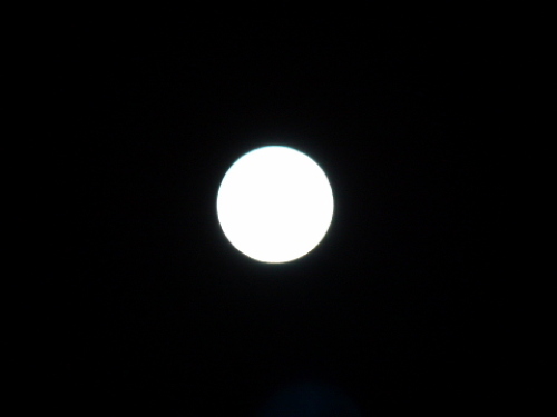 IMG_6342.jpg