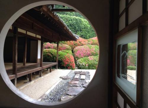 2016-05-29 5.頼久寺