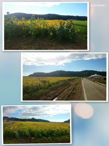 CYMERA_20160825_113506.jpg