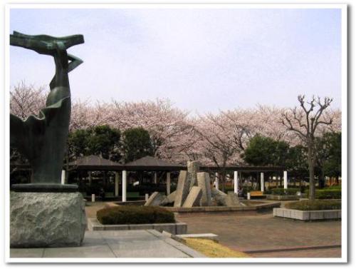 花見 桜 名所 穴場 オススメ スポット 家族 東京 葛飾区 小菅 2013 公園 小菅東スポーツ公園 小菅水再生センター 堀切菖蒲園駅 綾瀬駅 004.jpg