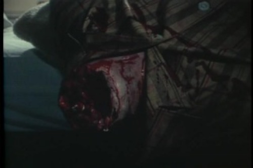 PDVD_035.jpg