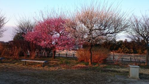 CYMERA_20170309_023227.jpg
