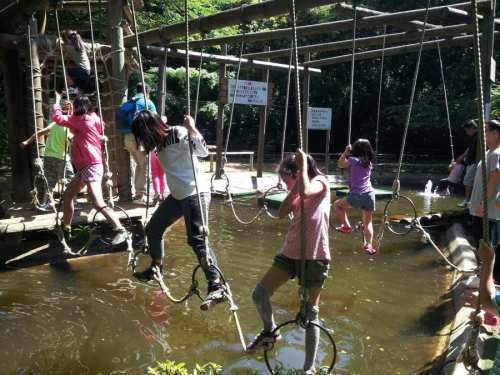 楽しすぎる 清水公園の水上コース イエ To コドモ 楽天ブログ