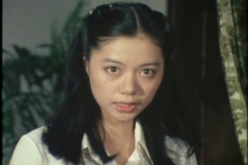 PDVD_007.jpg