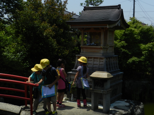 DSCN9438.JPG