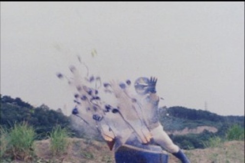 PDVD_024.jpg