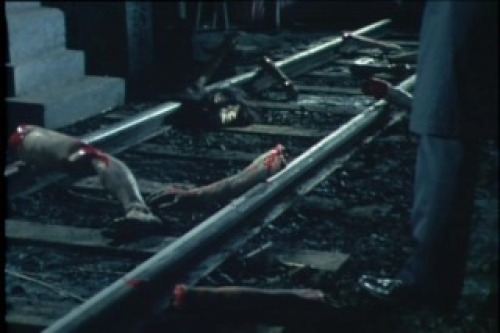 PDVD_076.jpg