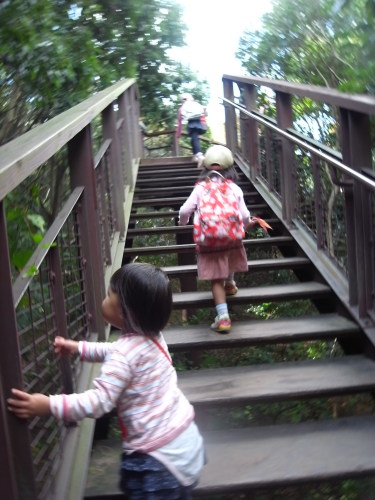 R0011867.JPG