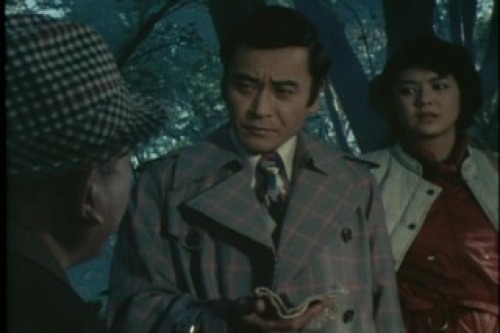 PDVD_014.jpg