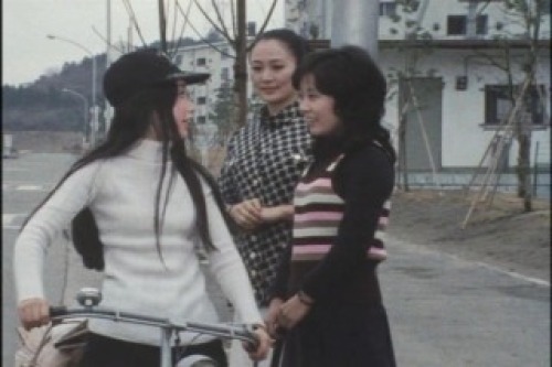 PDVD_038.jpg