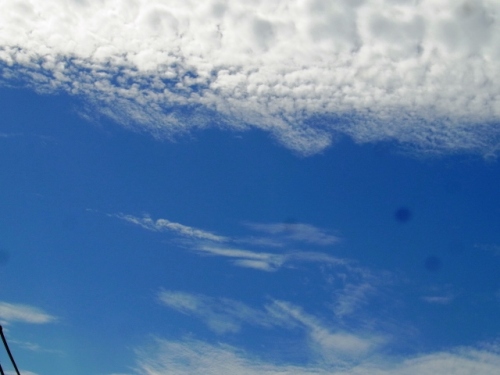 R0012181.JPG