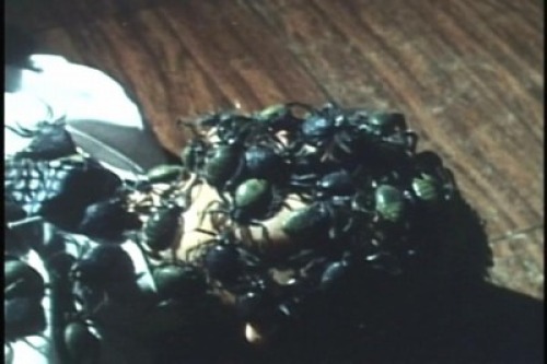 PDVD_068.jpg