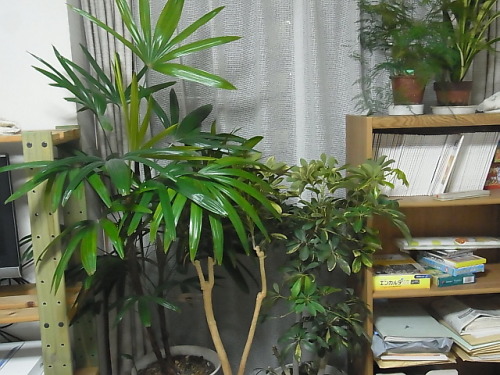 R0012148.JPG