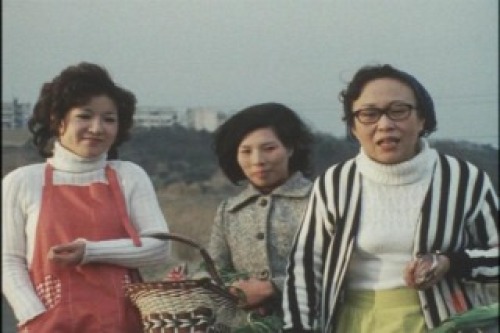 PDVD_005.jpg