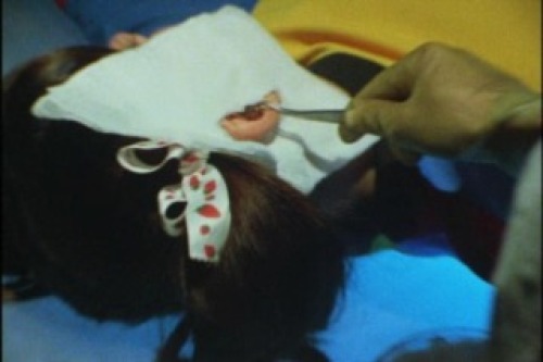 PDVD_004.jpg