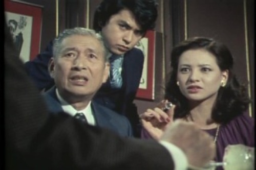 PDVD_158.jpg