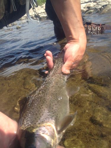 201208151602_1180_iphone.jpg