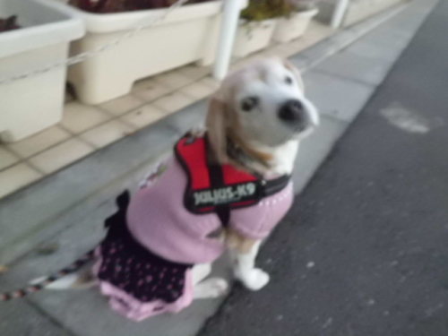 Nw9BQkYo9I45tu_1357088098.jpg