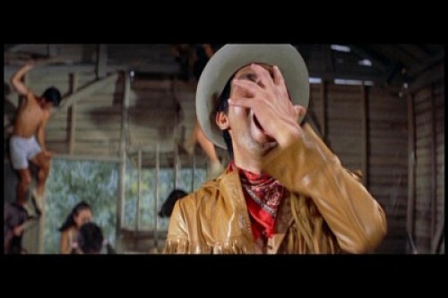 PDVD_110.jpg