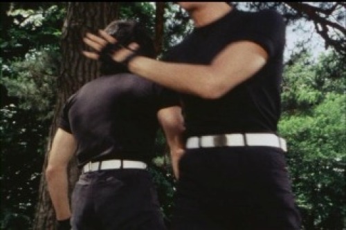 PDVD_035.jpg