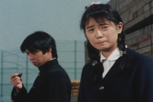 PDVD_031.jpg