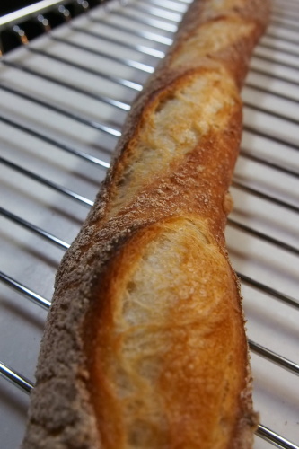 PB172185.JPG