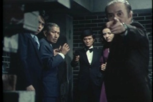 PDVD_174.jpg