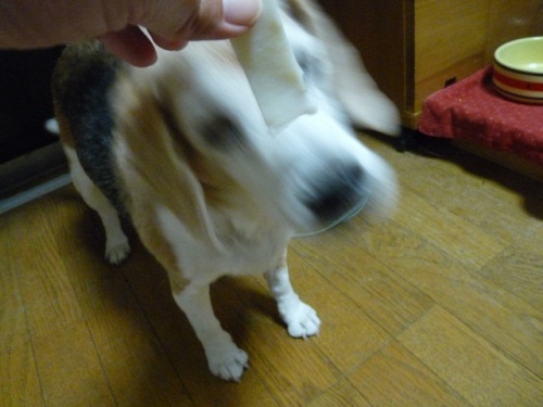 P1070942はんぺん.jpg