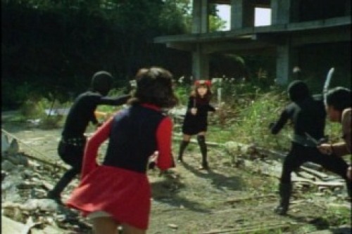 PDVD_027.jpg