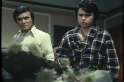PDVD_034.jpg