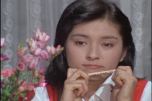 PDVD_018.jpg