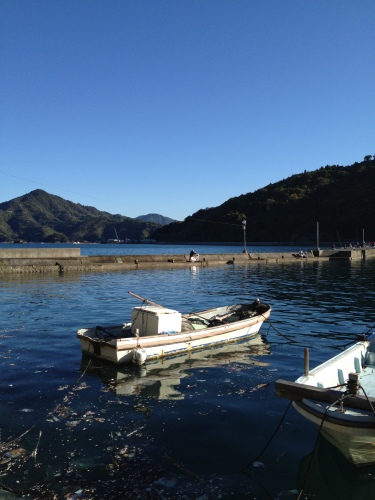 愛媛県宇和島市三浦半島でショアジギング24年11月 わたしのブログ by chara29 楽天ブログ