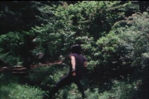 PDVD_010.jpg
