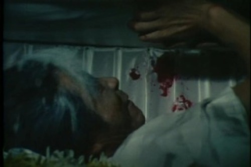 PDVD_049.jpg