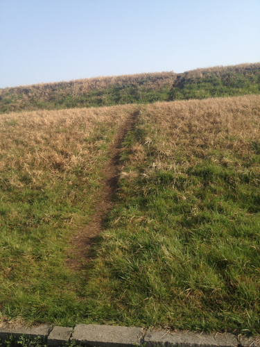 201204051925_0053_iphone.jpg