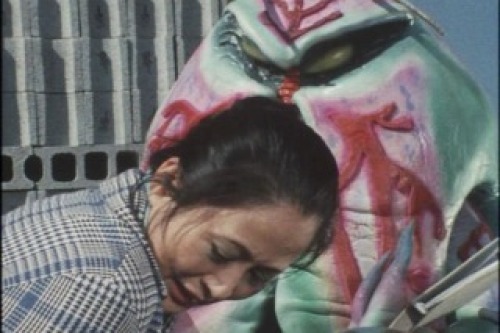 PDVD_029.jpg