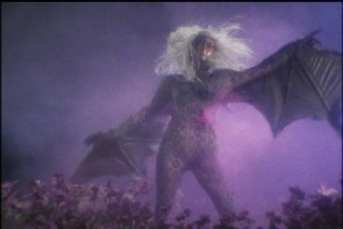PDVD_046.jpg